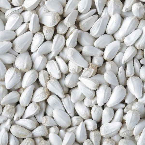 Safflower Seed